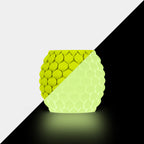 [MOQ: 3KG] PETG Glow in The Dark (Luminous) 3D Printer Filament 1KG